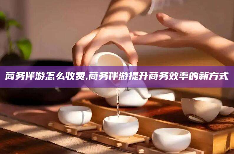 乐山商务伴游怎么收费,商务伴游提升商务效率的新方式